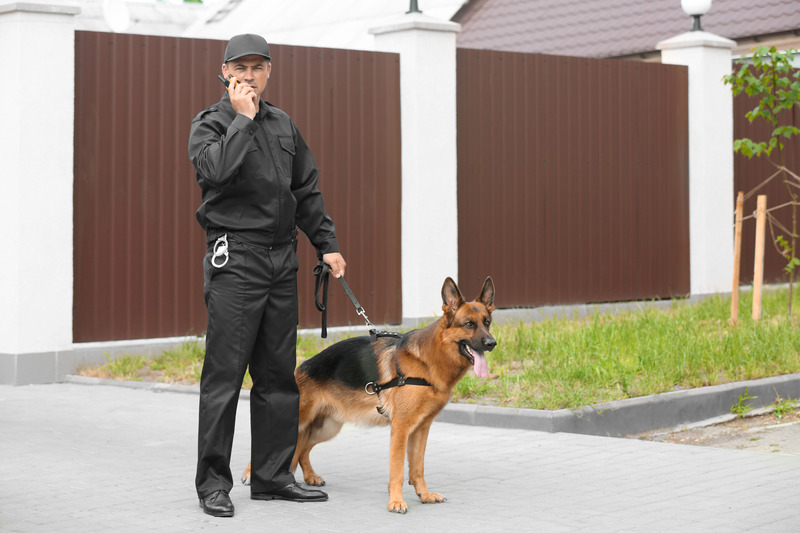 SCCD Özel Güvenlik Hizmetleri